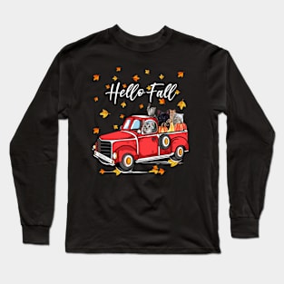 cat hello fall Long Sleeve T-Shirt